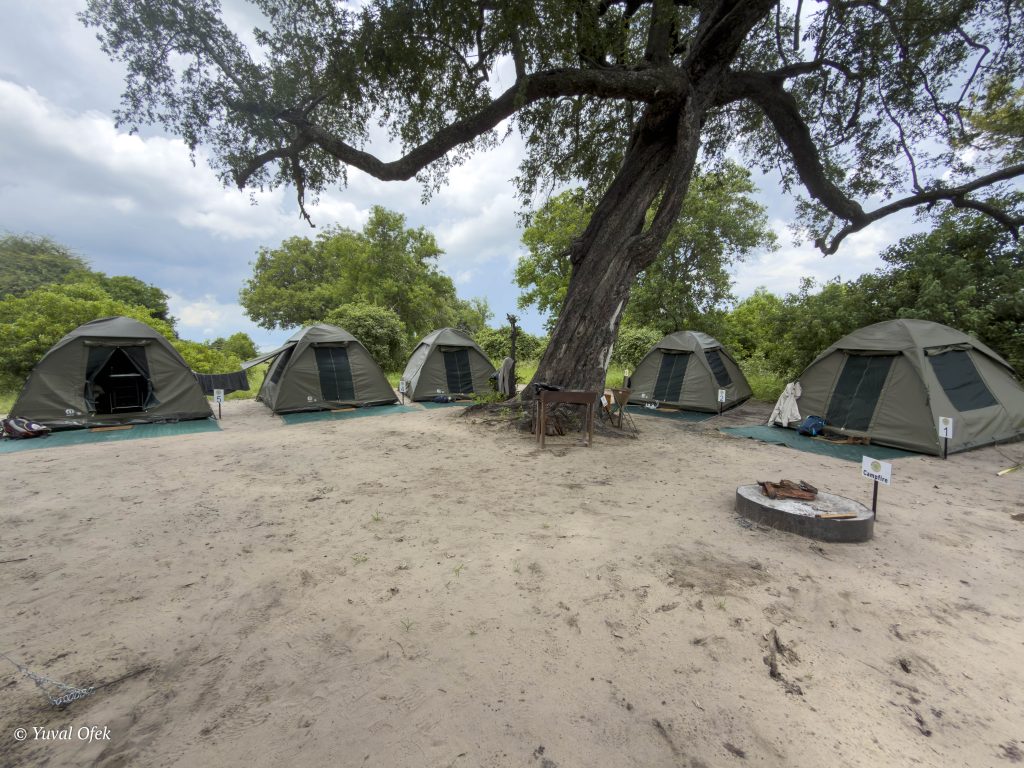 Camp site website-1001