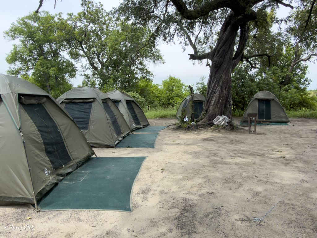 Camp site website-1004