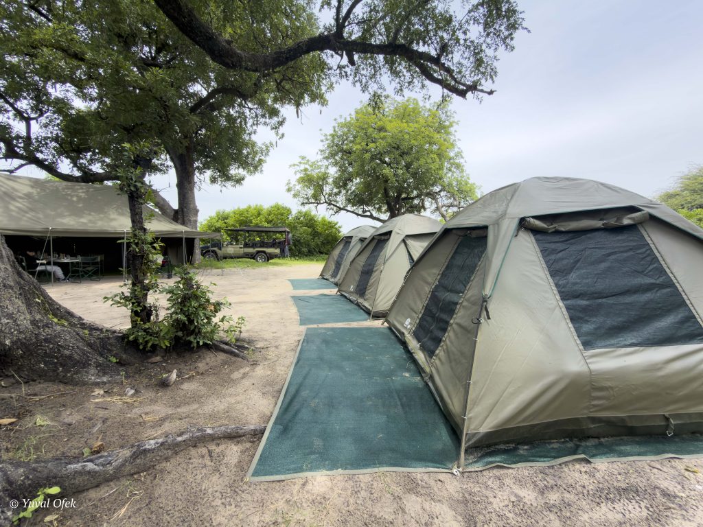 Camp site website-1005