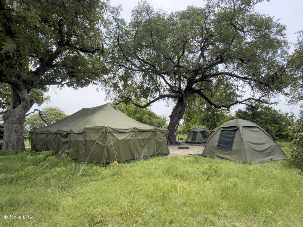 Camp site website-1012