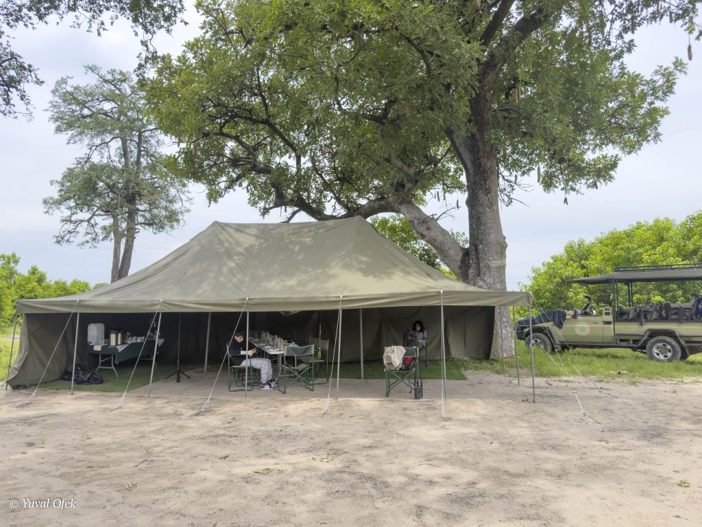 Camp site website-1013