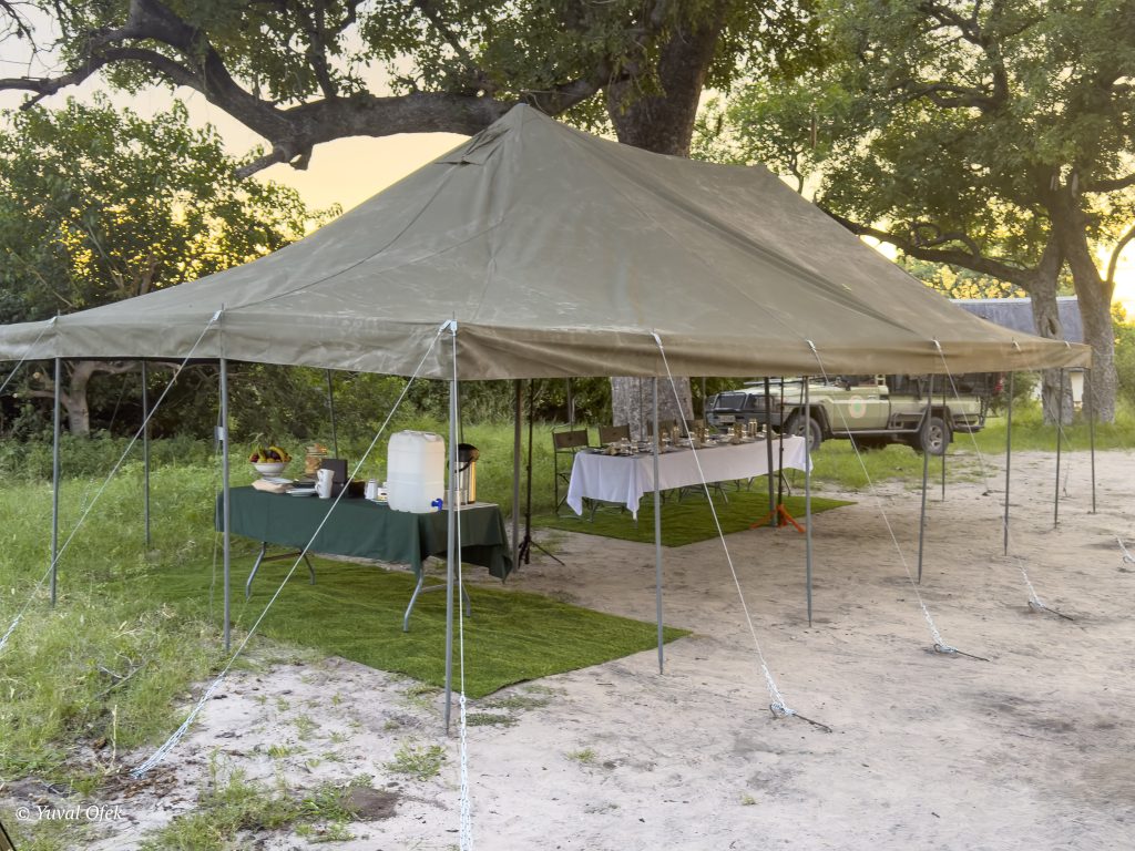 Camp site website-1014