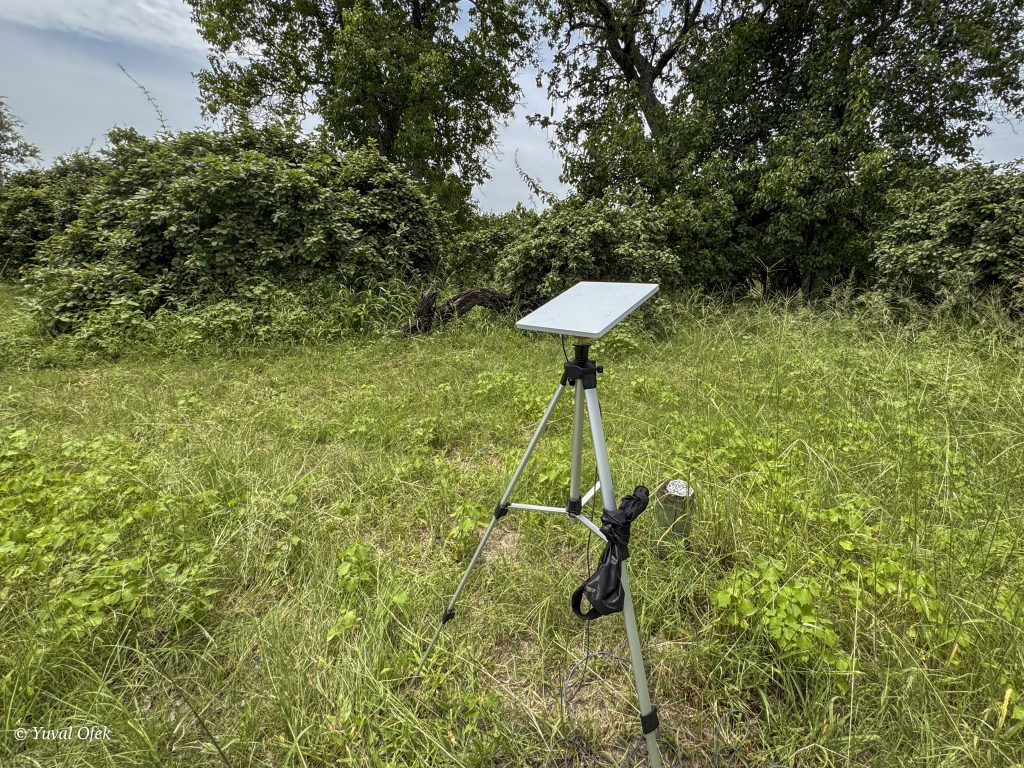 Camp site website-1020