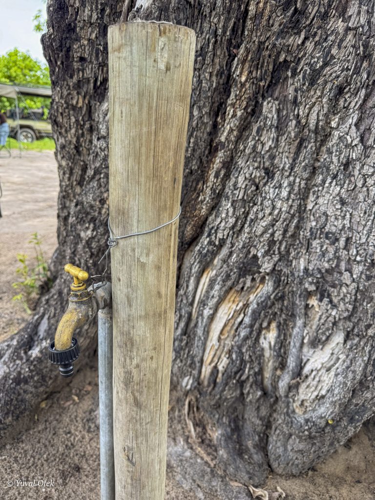 Camp site website-1021