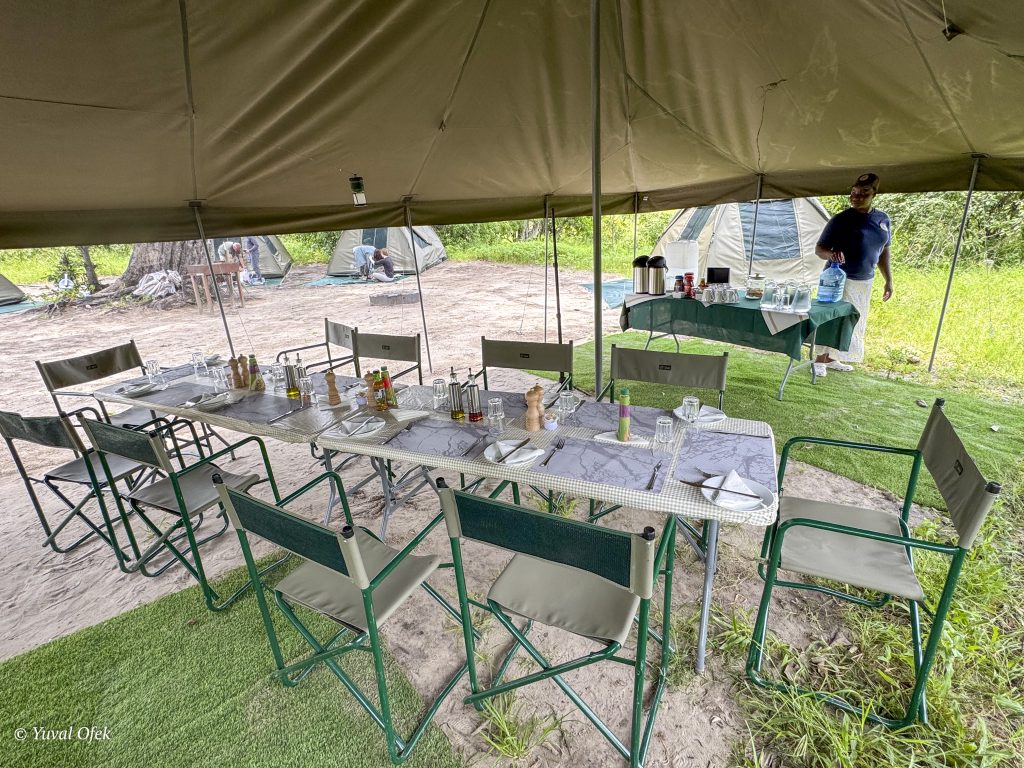 Camp site website-1024