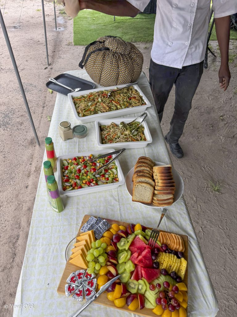 Camp site website-1025